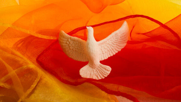 The Sacrament of Confirmation 2026